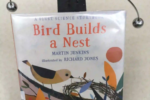 bird builds a nest a first science storybook