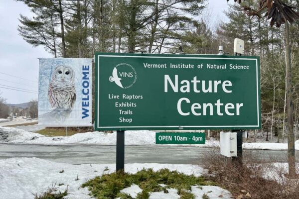 vermont-institute-of-natural-science-nature-center