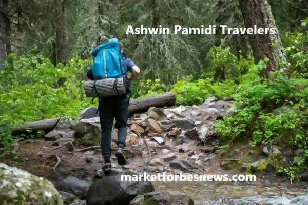 Ashwin Pamidi Travelers